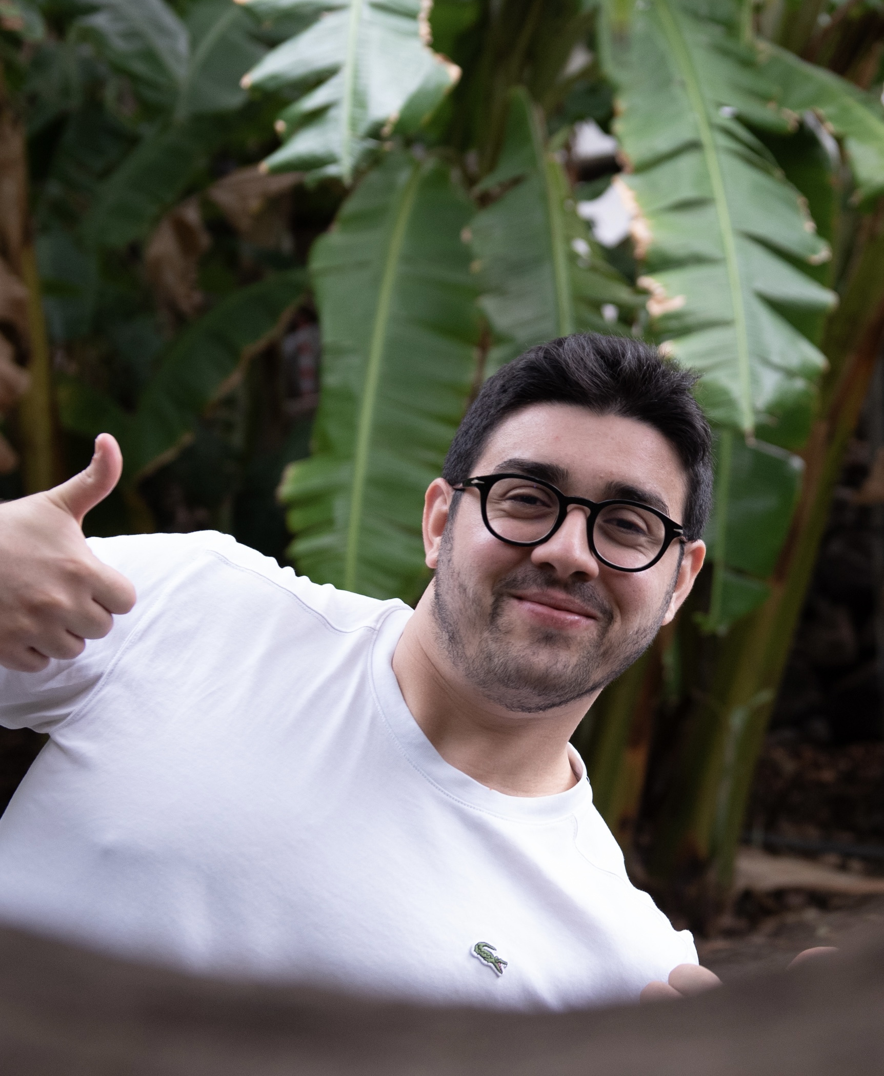 Personal Portfolio Images